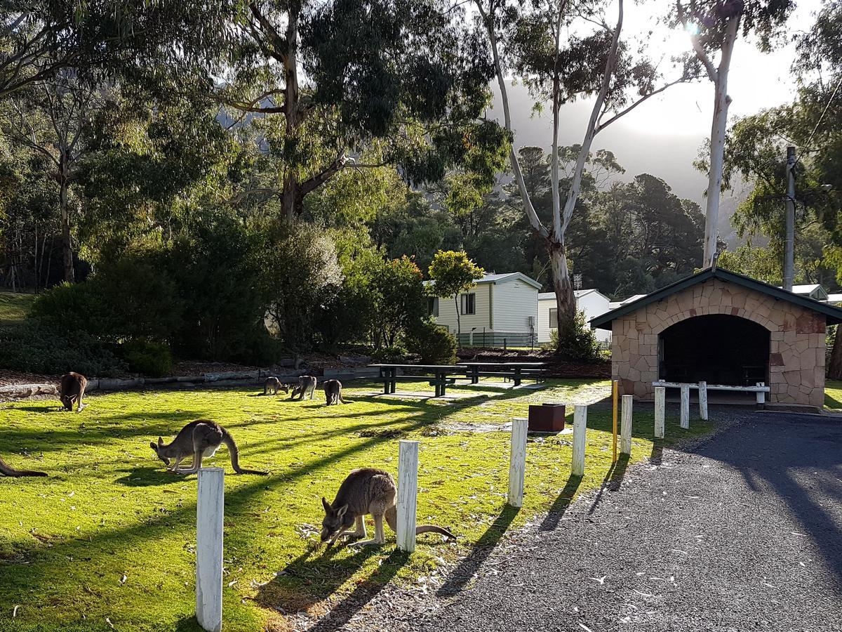 Breeze Holiday Parks - Halls Gap Exterior photo